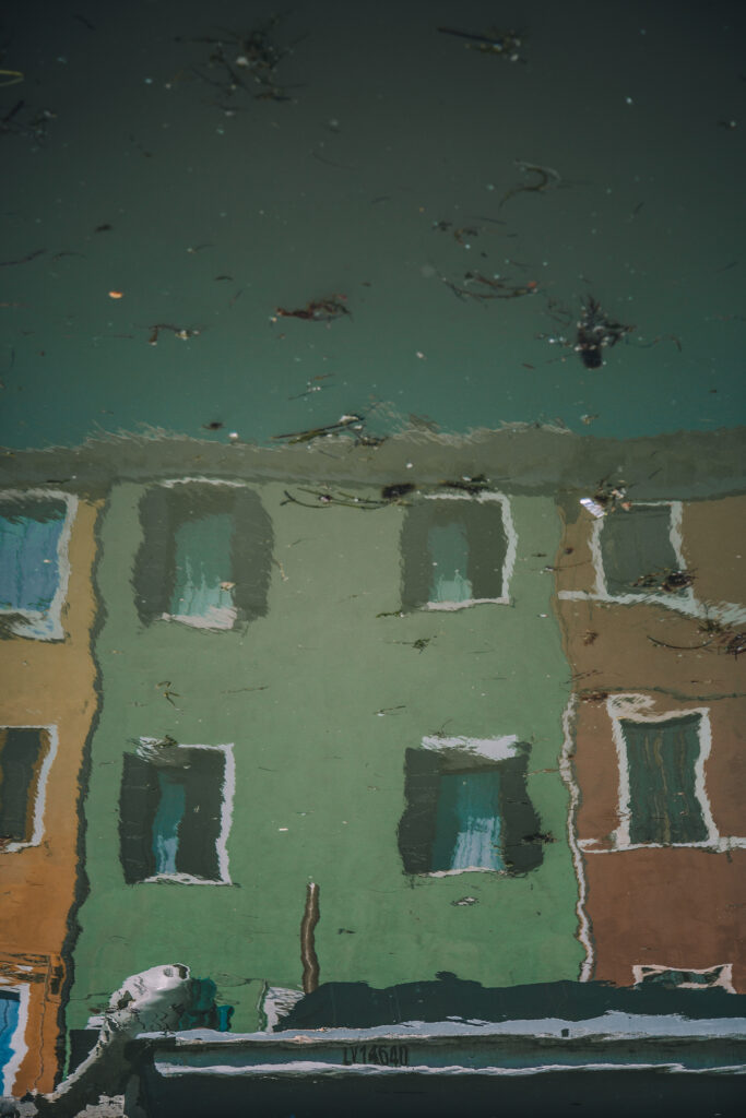 photography of the reflection of green and brown buildings in water by Mayank Thammalla