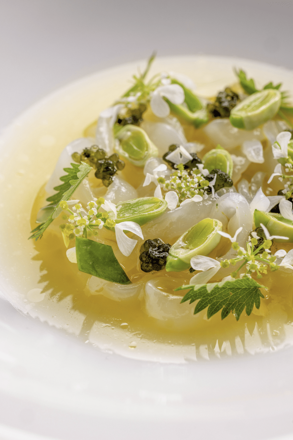 photo of pale golden broth filled with translucent white and green ingredients by AndreaDiLorenzo