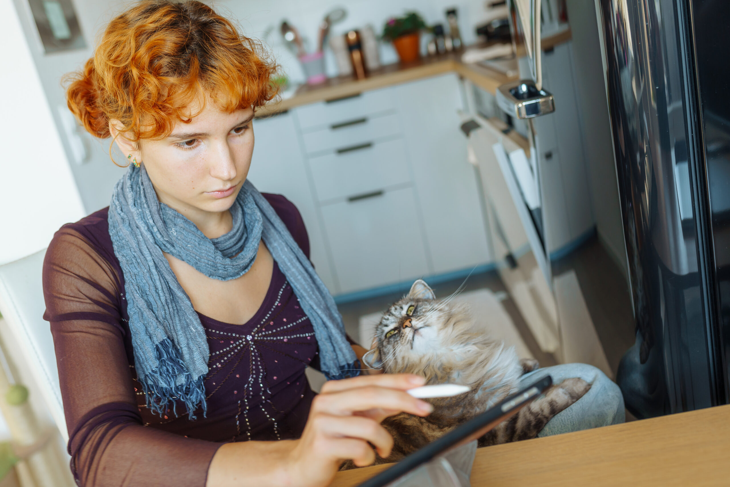 Retrato de uma mulher jovem com um gato no colo usando um tablet com caneta stylus na mesa da cozinha