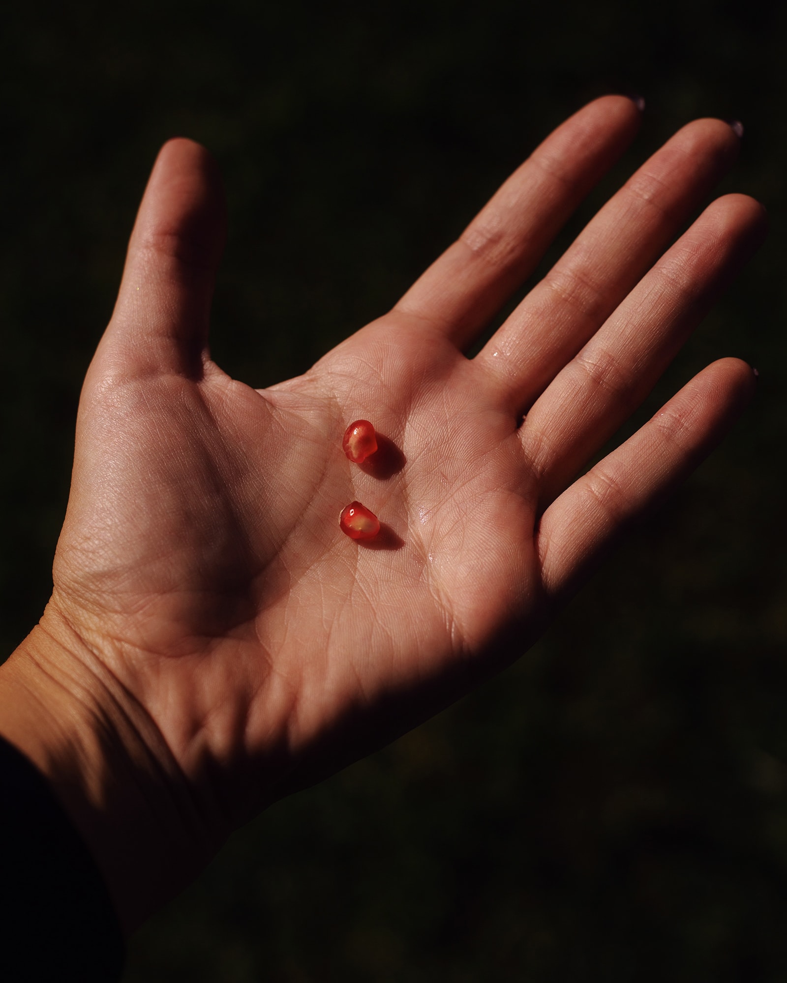 photograph of hand holding two pomegranate arils by Alice Angelini