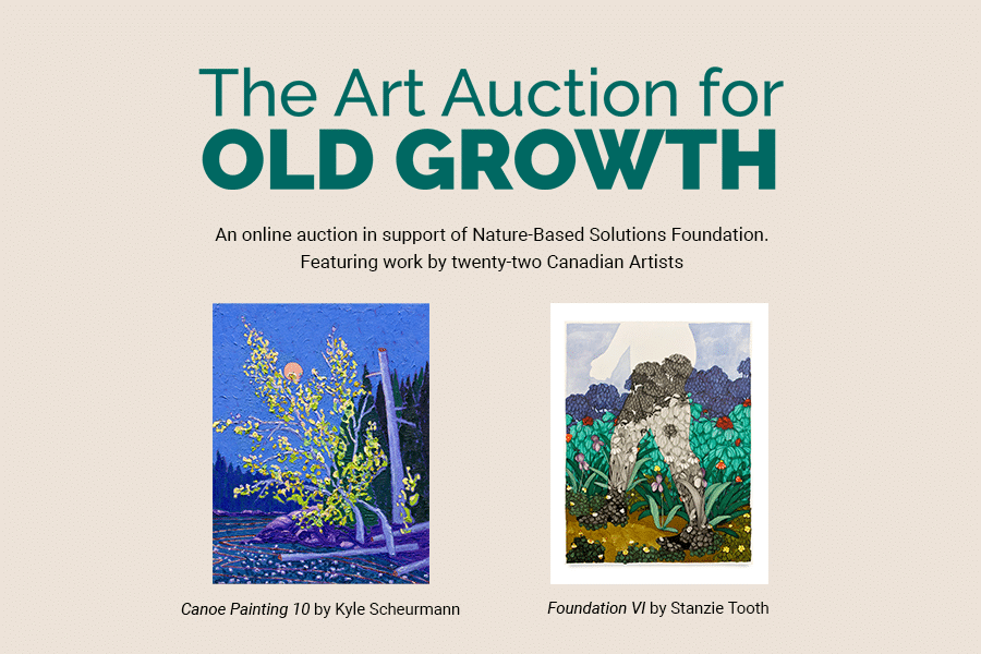 The Art Auction for Old Growth: Artists Impacting Environmental Change