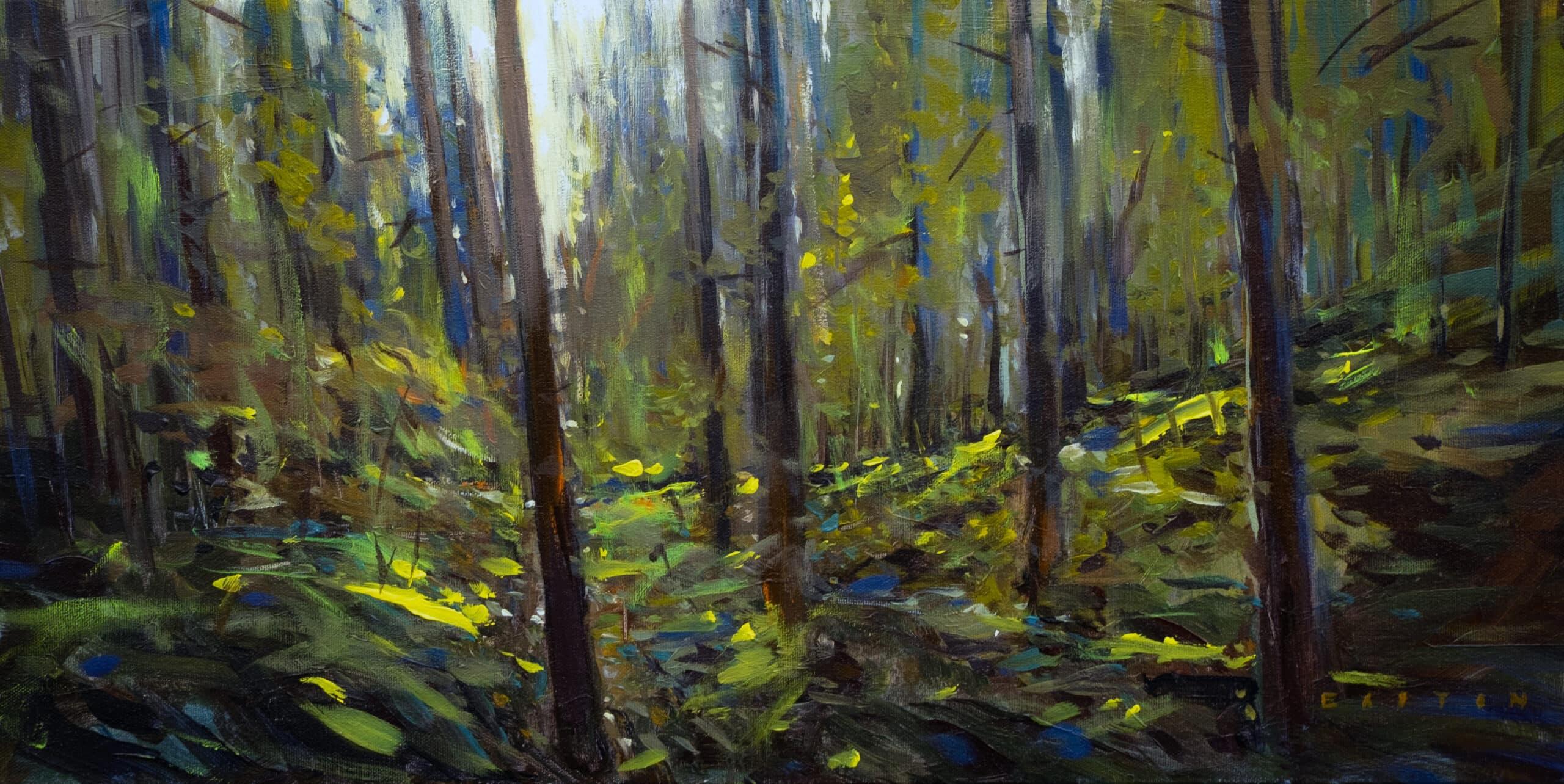 impressionist-inspired painting of dense woods by Charlie Easton titled Continuity