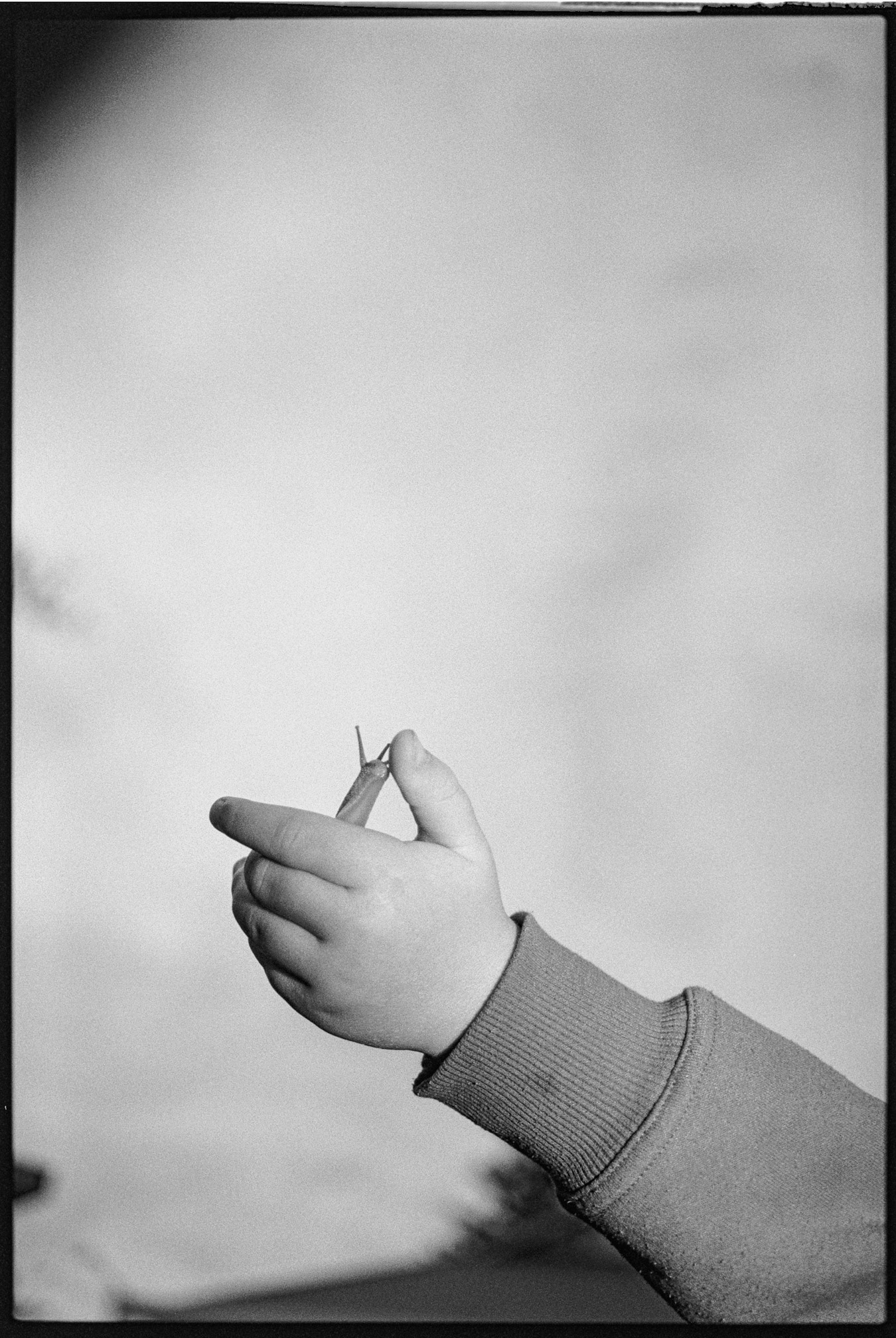 close up of a child's hand and sleeve, with the child holding a snail, its head resting against their thumb. photo by Jas Leonard