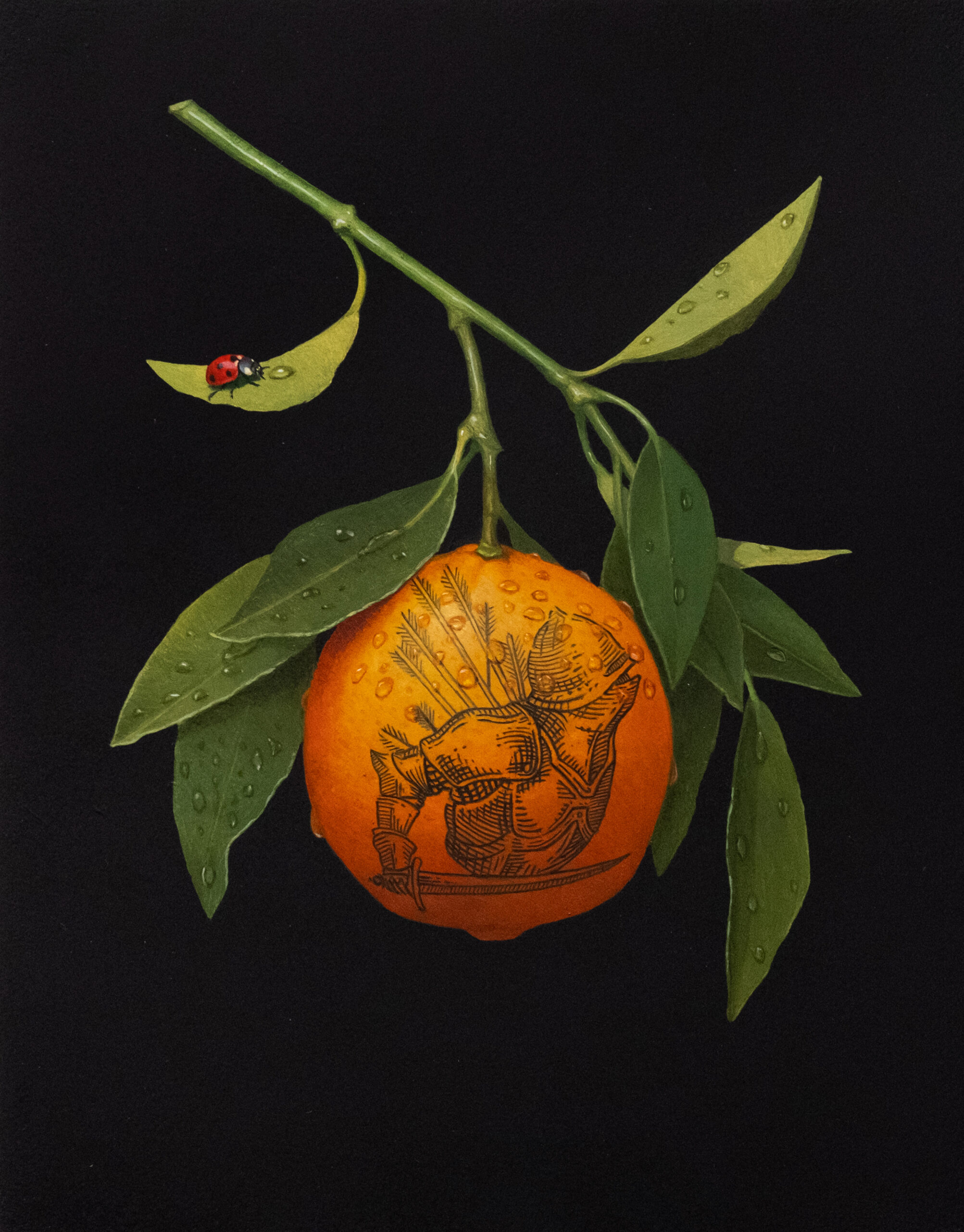 art représentant un chevalier en armure dessiné sur la peau d'une orange à Nuit Blanche. Art par emile brunet