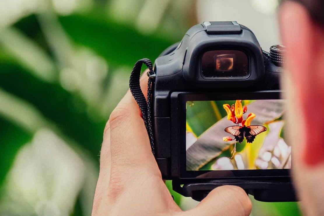 Las mejores cámaras digitales reflex
