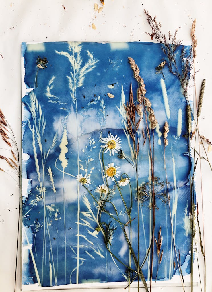 Impresión cianotipia con Flores secas y hierbas sobre una mesa blanca